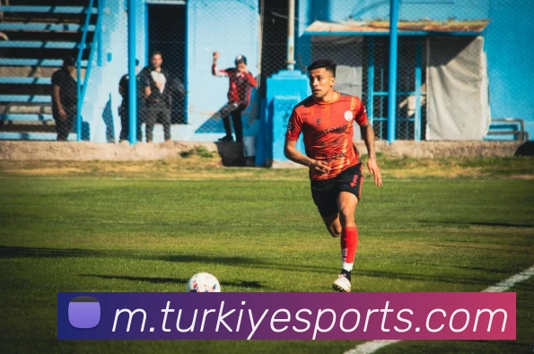 体育下注APP 封面图